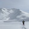 ゴリちゃん🐻🇯🇵🏔⛏⛺️🛫🥎 的头像