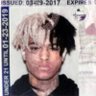 tristan profil fotoğrafı