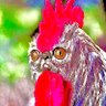 Scottyus88's profile picture
