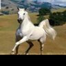 فحل للمتحررين في اب profil fotoğrafı