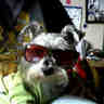 Profilbild von Angela Bello