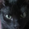 Profilbild von Georgina G