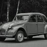 GL62219 profil fotoğrafı
