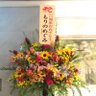 Фото профиля もりのめぐみ