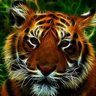 Angelito 😇's profile picture