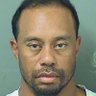 Jaguar Forest's profile picture