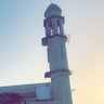 ﮼شيبو's profile picture