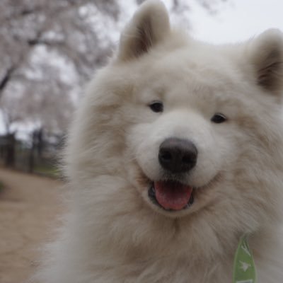 shinshin0605's profile picture