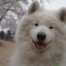 わんさん 的头像