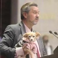 Diputados Out of Context's profile picture
