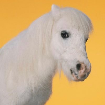 _UNICORNOLOGY_'s profile picture