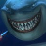 Sativex 🐬's profile picture