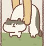 Profilbild von もふもふしっぽ