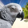 ƓɾҽվͲօղҟą profil fotoğrafı
