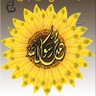 شمس's profile picture