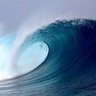 Фото профиля Surfer Dude