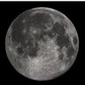 Camtrader profil fotoğrafı