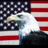 Let’s Save Nevada 🇺🇸 profil fotoğrafı