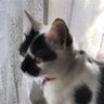まき's profile picture