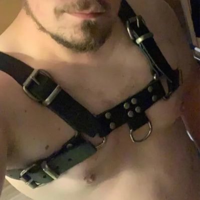 leonidas19's profile picture