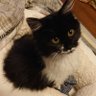 Profilbild von まさきち