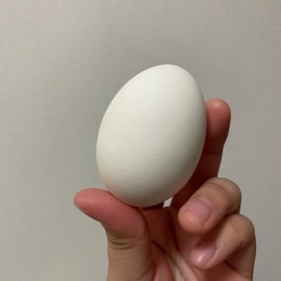たまごえっぐ's profile picture