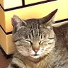 ぼーっとのすけ's profile picture