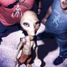 Paul Q's profile picture