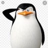 Skipper profil fotoğrafı