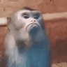 Фото профиля Resting Bravo Face