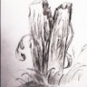 W_L. profil fotoğrafı