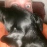 Profilbild von Nick