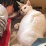 Profilbild von みゅう