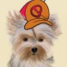 Profilbild von Fudd Busters