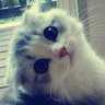 ชี่ป้ะ's profile picture