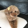 lovemama's profile picture