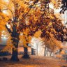 نور الهدى 的头像