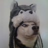 NateDog's profile picture