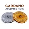 Crypto₳d₳'s profile picture