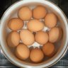 PotatoTomato 的头像