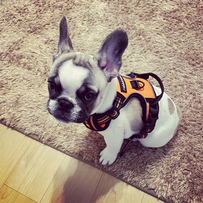 nikoniko202111's profile picture