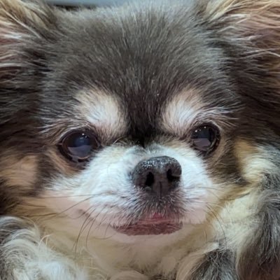 ラズくん's profile picture