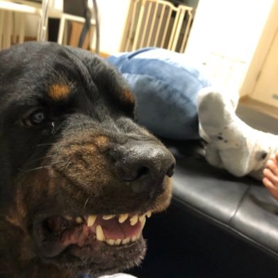 eYNrBtpiCwfEmLn's profile picture