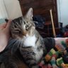 Profilbild von DJCMORE
