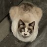 aLm profil fotoğrafı
