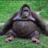 Фото профиля MrsBigHairy