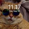 Porkster's profile picture