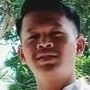 Dino panggabean's profile picture