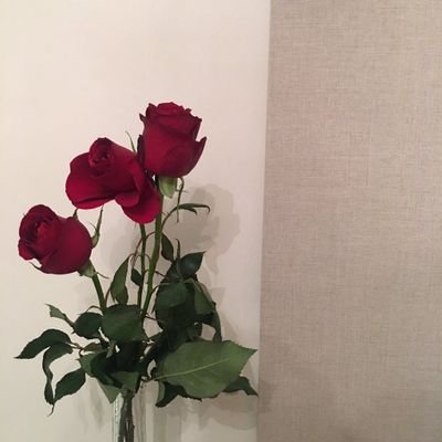 IG:Joy-Zelda's profile picture