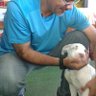 Фото профиля cavaller navegat (56). (Perro viejo , late echao)